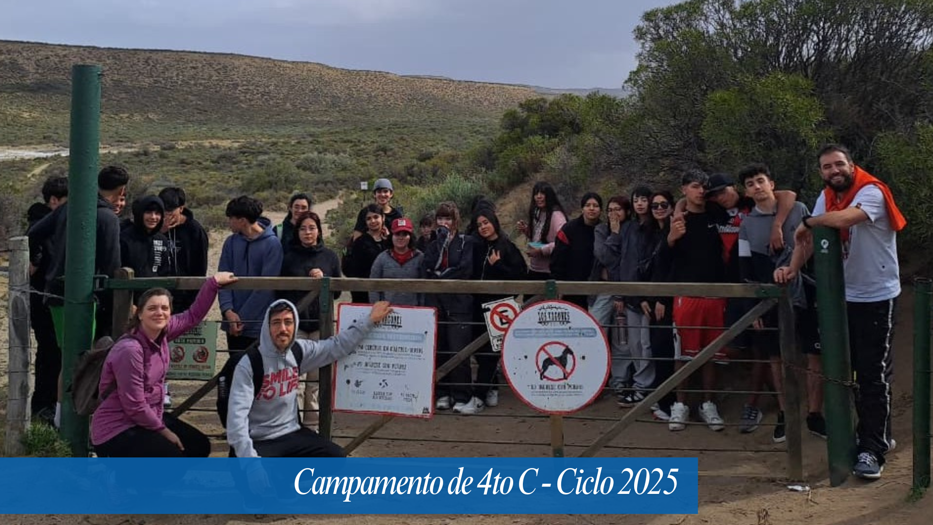 cup  campamento