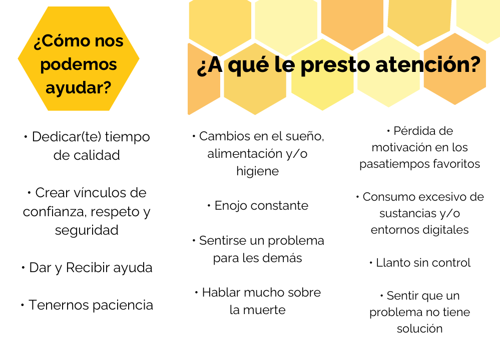 folleto2
